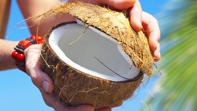 Wie gesund ist Kokosöl? – Dr. Sport klärt auf